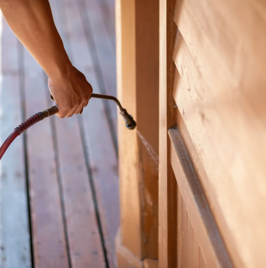 Trusted Pest Control - Port Chester Pest Control Pros | Port Chester, NY | 914-598-9003